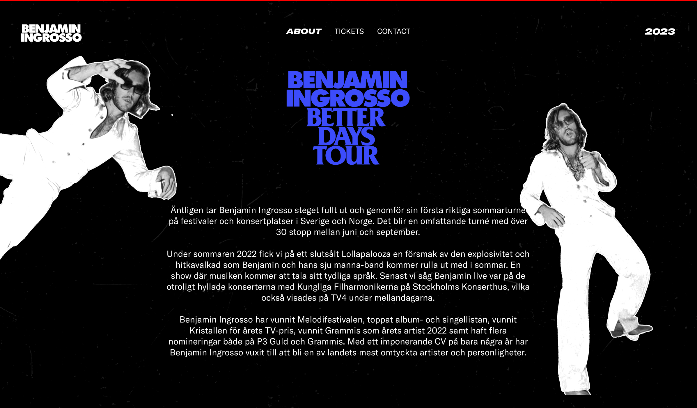 project showcase image