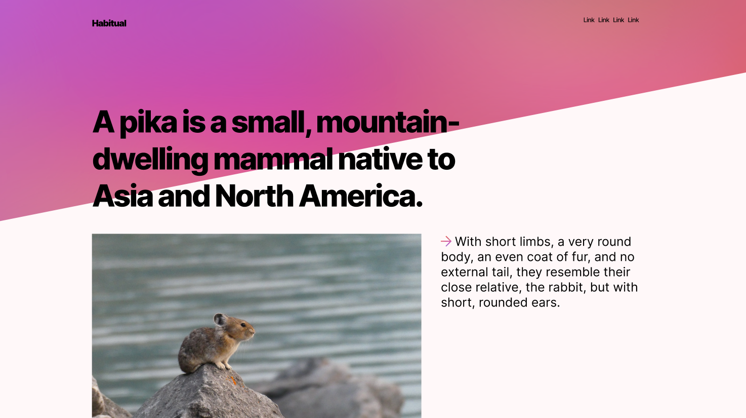 project showcase image