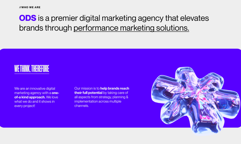 project showcase image