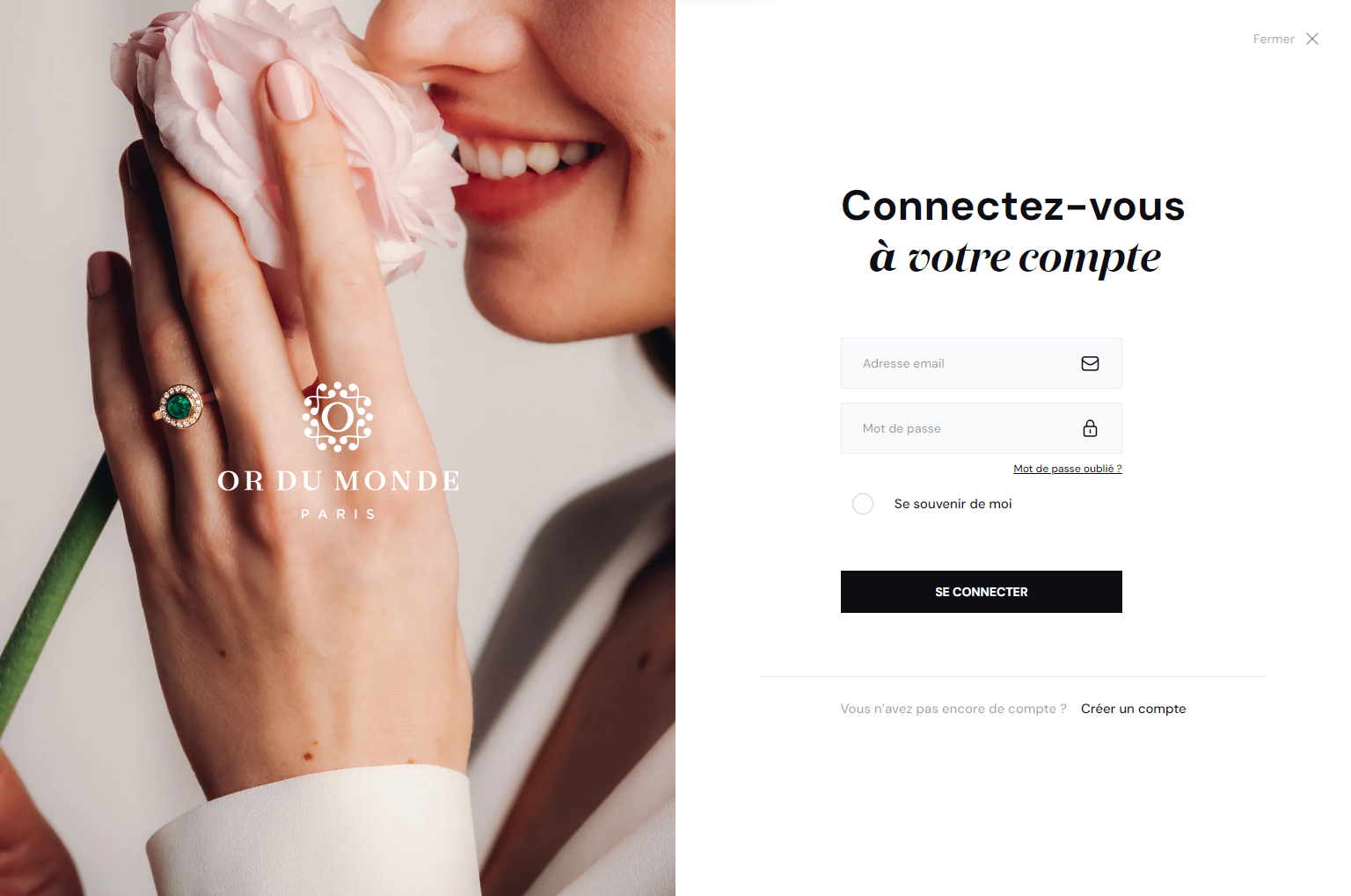 project showcase image